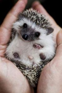 If anyone thinks it's okay to murder this cutie... you have no heart and deserve to burn in hell.